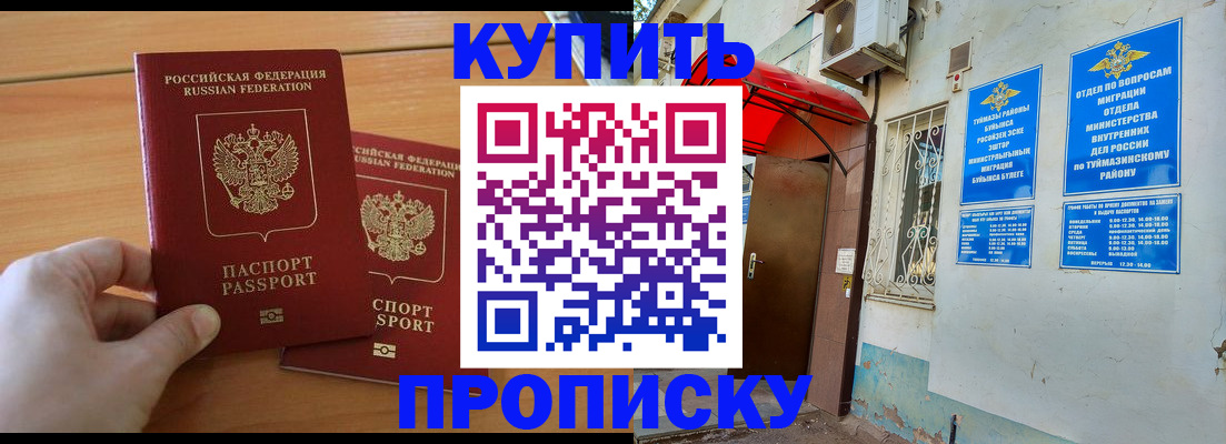 прописка штамп в Электрогорске